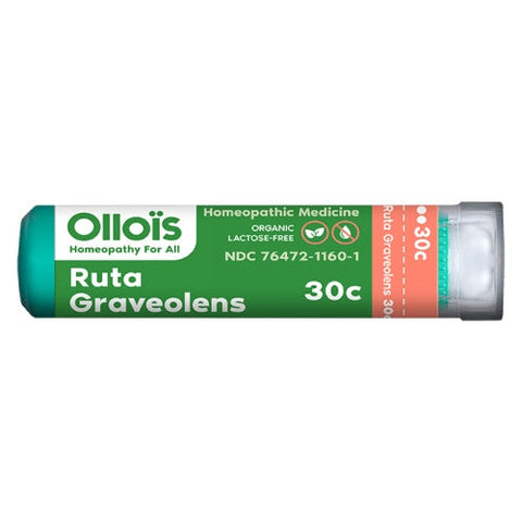 Ollois, Ruta Graveolens, 80PC Ollois