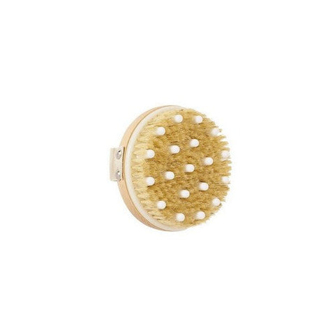 Daily Concepts, Daily Detox Massaging Dry Brush, 1 Count Daily Concepts