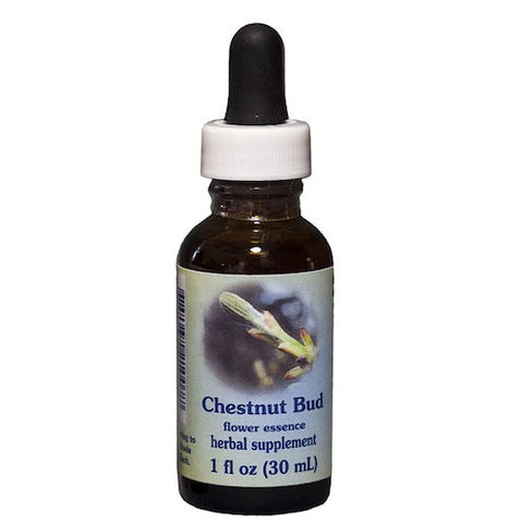 Flower Essence Services, Chestnut Bud Dropper, 1 oz Flower Essence Services