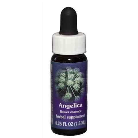 Flower Essence Services, Angelica Essence, 0.25 oz Flower Essence Services